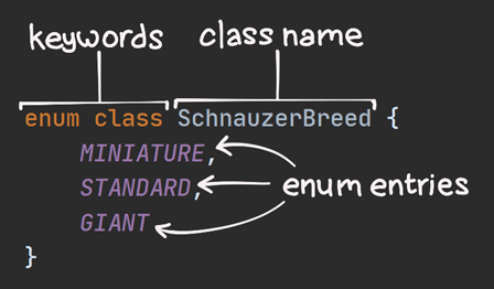 enum 和 class 是关键字，SchnauzerBreed 是类名，MINIATURE、STANDARD 和 GIANT 是枚举条目。